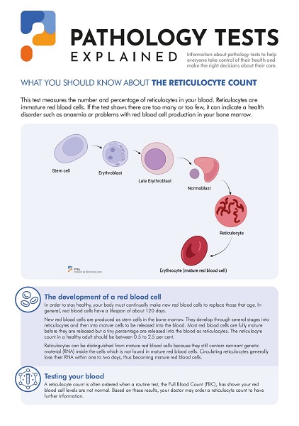 Reticulocyte count